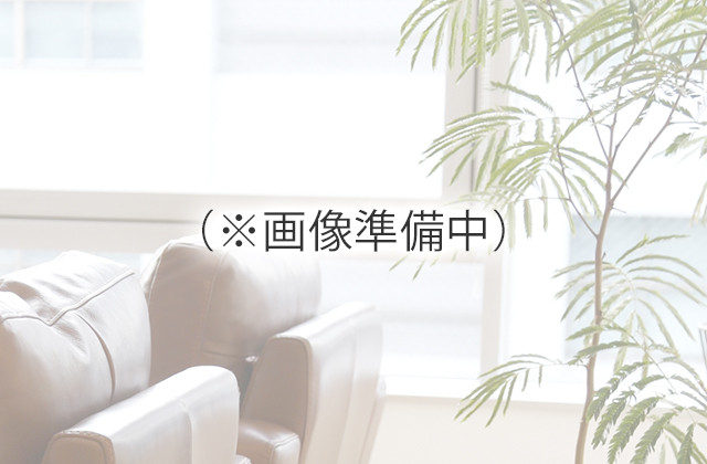 before画像